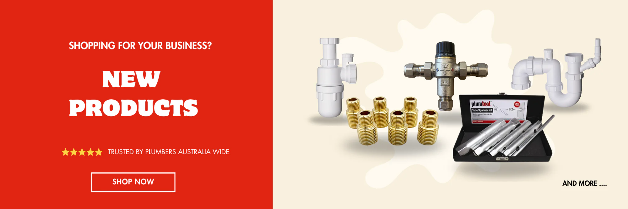 Master Your Next Plumbing Project